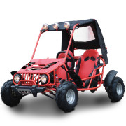 618_DTP_buggy-125