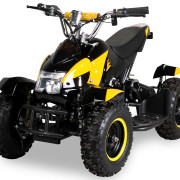 Actionbikes_Miniquad-Cobra-800_Gelb-schwarz_57562D4154562D3032342D3232_360-13_BGW_1620x1080