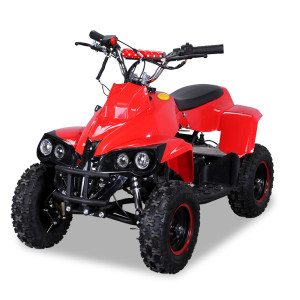 Miniquad-Rhino-49cc_Rot_5A5A5A5A4838353034373639312D35303131_360-13_BGW_1152x768