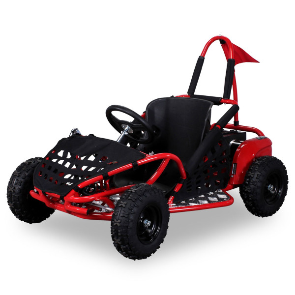 inder-Buggy-GoKart-1000-Watt_Rot_33353136303137_360-14_BGW_1620x1080