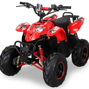 actionbikes_s-5-elektro_rot_33353135303134_360-13_bgw_1620x1080