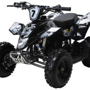 Actionbikes_Miniquad-fox-49cc_Schwarz-grau_5052303031373839352D3032_360-13_BGW_1620x1080