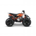 at125-predator-mini-quad-atv-125cc-semiautomatico-4-tempi-by-kayo