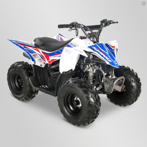 Screenshot 2023-05-30 at 15-21-57 Quad enfant 110cc apollo sano predator Apollo Motors - Dirt