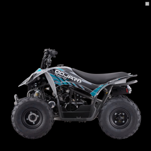 Screenshot 2026-02-18 at 16-38-32 Quad odjar predator 110 Apollo Motors - Dirt bike Pit bike